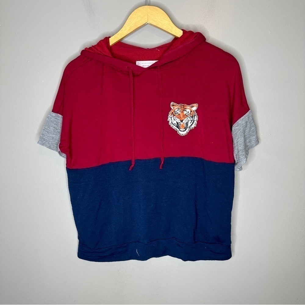 No boundaries hooded Colorblock tiger Tshirt